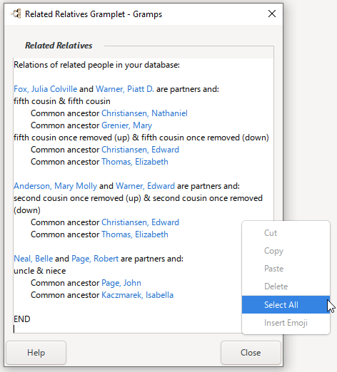 RelatedRelativesGramplet-addon-example-60.png